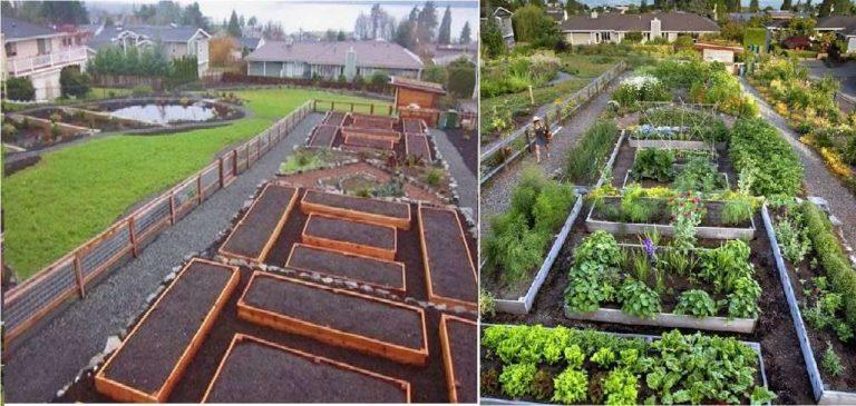 The arrangement of beds on the plot is your personal business. Beauty is important to some, practicality to others