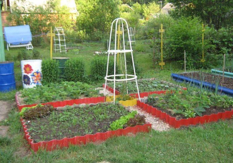 How to plant a beautiful vegetable garden