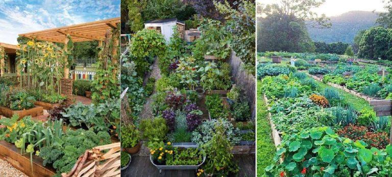 Planning a vegetable garden for planting is an individual matter