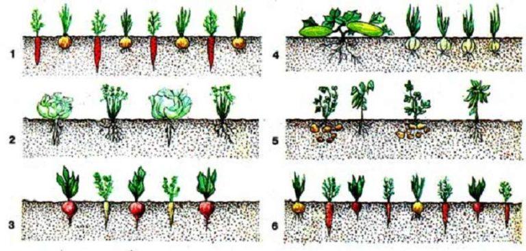 How to grow more in less space