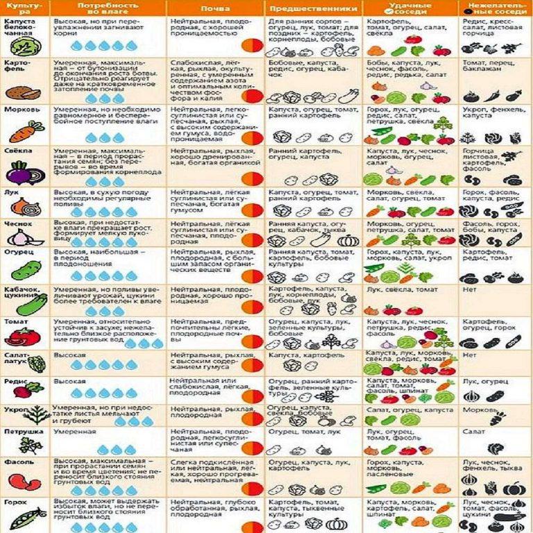 How to plan your plantings