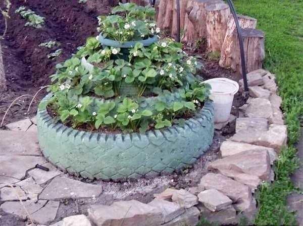 Tires with cut edges can be used to make a tall bed for strawberries