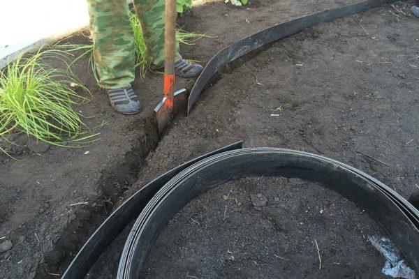 The beds can be shaped and reinforced with plastic edging tape for the garden and vegetable garden