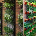 Garden and dacha crafts: novelties (75 photos)