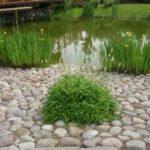 Large natural stone can be used to pave nice corners