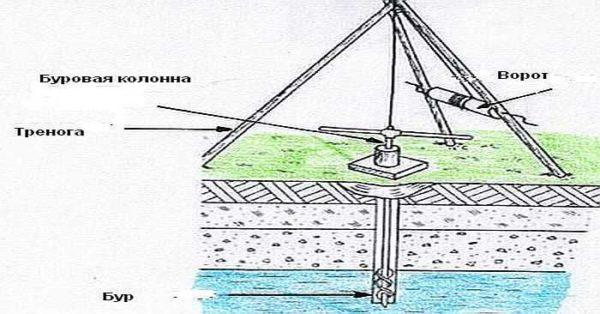 Hand drill with auger