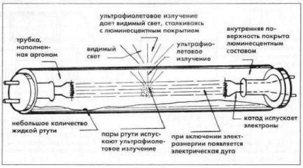 Principle construction of a fluorescent daylight lamp