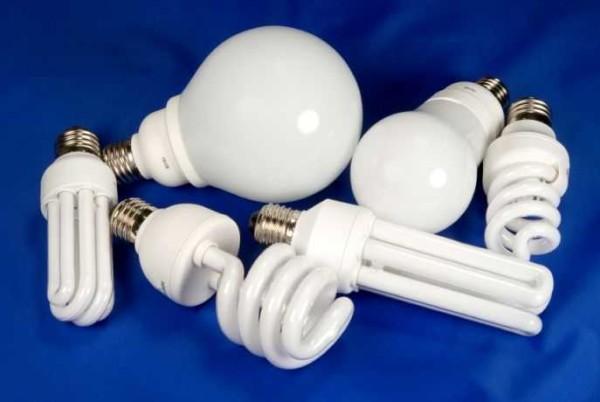 These are also fluorescent bulbs, only the shape is different