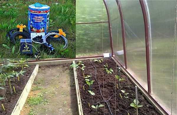 Drip irrigation systems: manufacturers, equipment, reviews