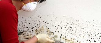 Ways to get rid of black mold in the bathroom