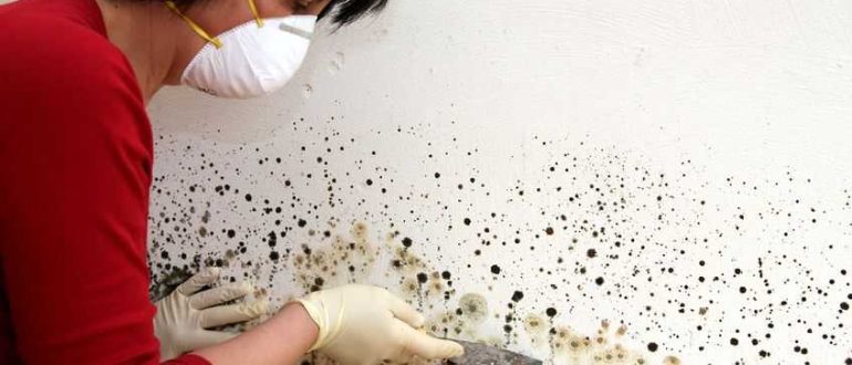 Ways to get rid of black mold in the bathroom