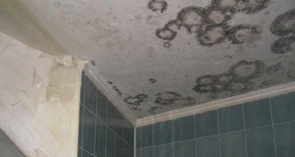 The cause of fungus and mold in the bathroom - poor ventilation