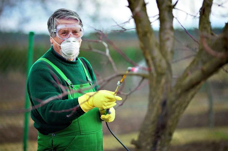 Working with the sprayer wearing protective equipment