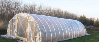 Greenhouses for dacha and vegetable garden: designs, materials