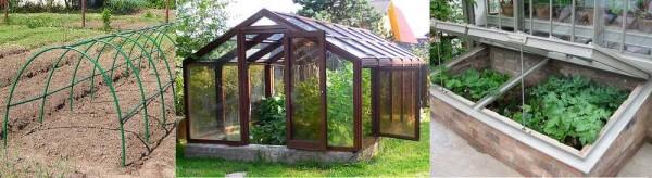 Greenhouse and greenhouse constructions