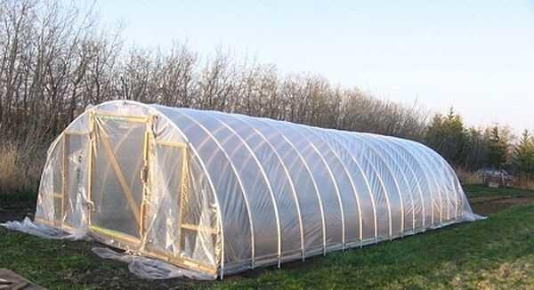 This greenhouse on PVC pipe arches can be assembled by one person in 3-4 hours.