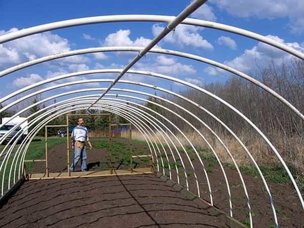 And this is what we have already got: the greenhouse is almost finished