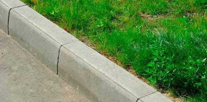 Installation of curbs with your own hands