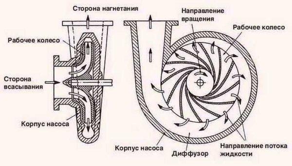 Design of a self-priming centrifugal pump