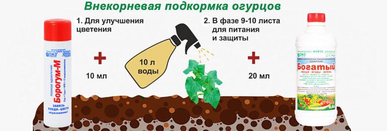 Foliar feeding of plants