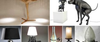 Choosing a table lamp (lamp) for the desktop