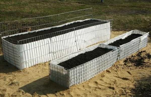 High beds in wire boxes