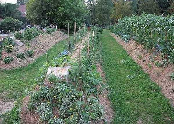 Bulk beds