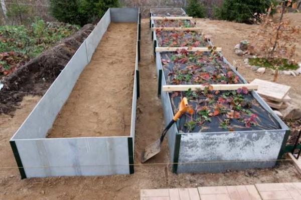 Fencing the beds with slate